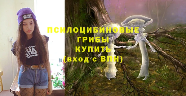 apvp Арсеньев